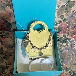 Tiffany & Co. Yellow Mini Bag with Silver Chain